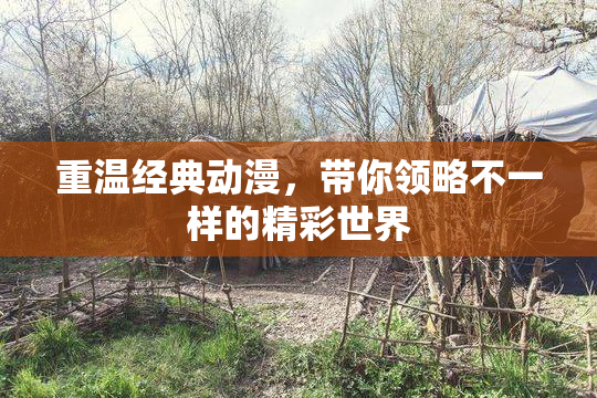 重温经典动漫，带你领略不一样的精彩世界
