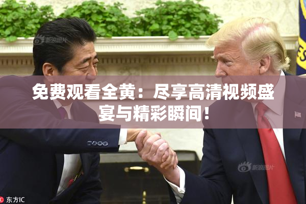 免费观看全黄：尽享高清视频盛宴与精彩瞬间！