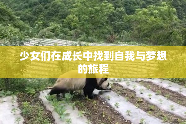 少女们在成长中找到自我与梦想的旅程