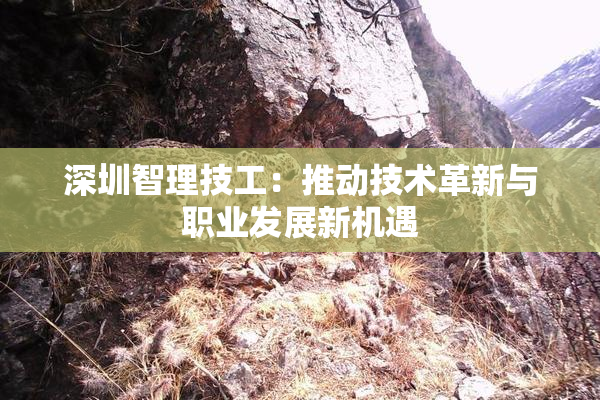 深圳智理技工：推动技术革新与职业发展新机遇