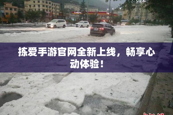 拣爱手游官网全新上线，畅享心动体验！