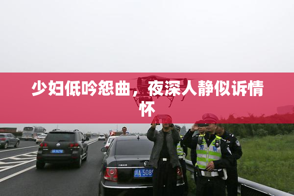 少妇低吟怨曲，夜深人静似诉情怀