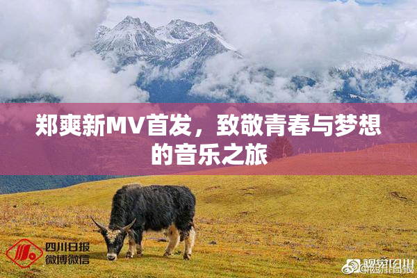 郑爽新MV首发，致敬青春与梦想的音乐之旅