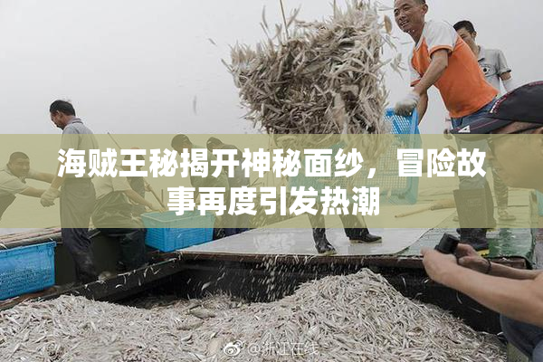 海贼王秘揭开神秘面纱，冒险故事再度引发热潮