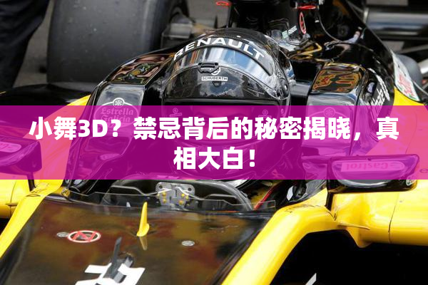 小舞3D？禁忌背后的秘密揭晓，真相大白！