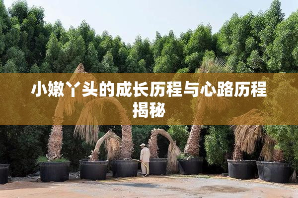 小嫩丫头的成长历程与心路历程揭秘