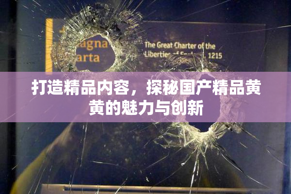 打造精品内容，探秘国产精品黄黄的魅力与创新