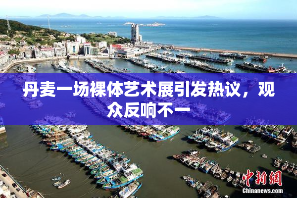 丹麦一场裸体艺术展引发热议，观众反响不一