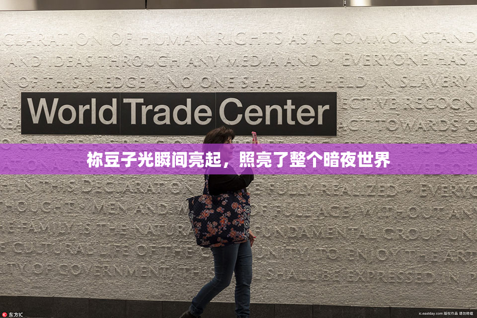 祢豆子光瞬间亮起，照亮了整个暗夜世界
