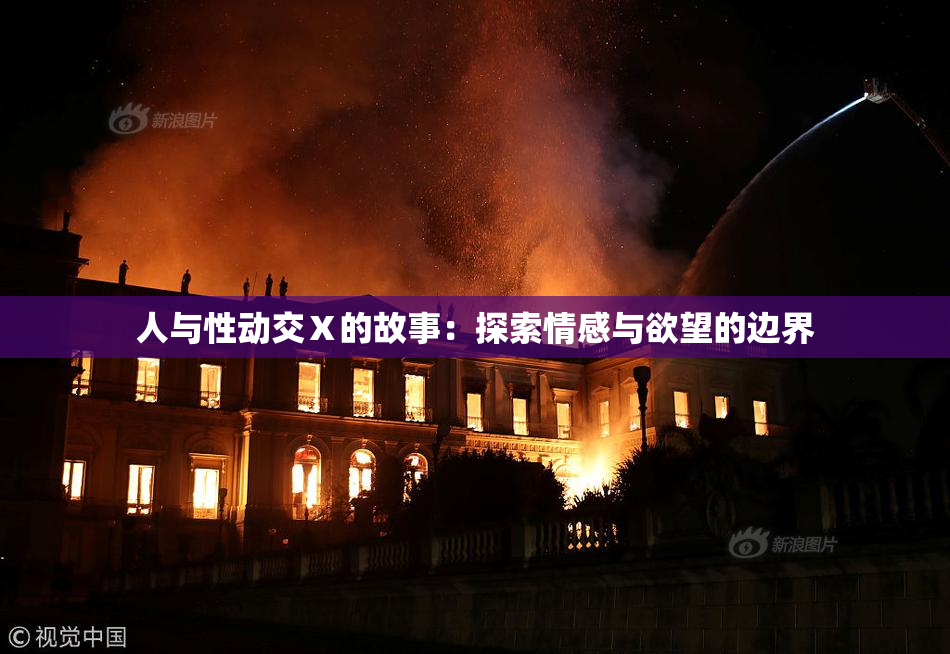 人与性动交Ⅹ的故事：探索情感与欲望的边界