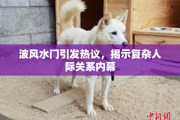 波风水门引发热议，揭示复杂人际关系内幕