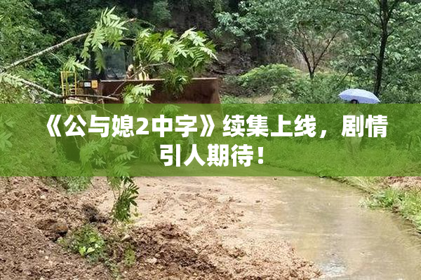 《公与媳2中字》续集上线，剧情引人期待！