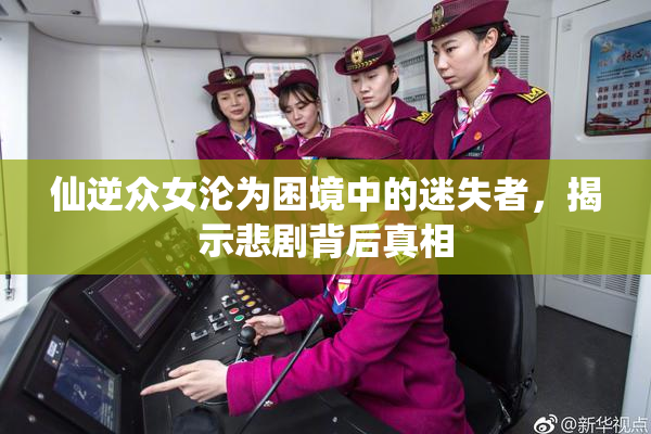 仙逆众女沦为困境中的迷失者，揭示悲剧背后真相