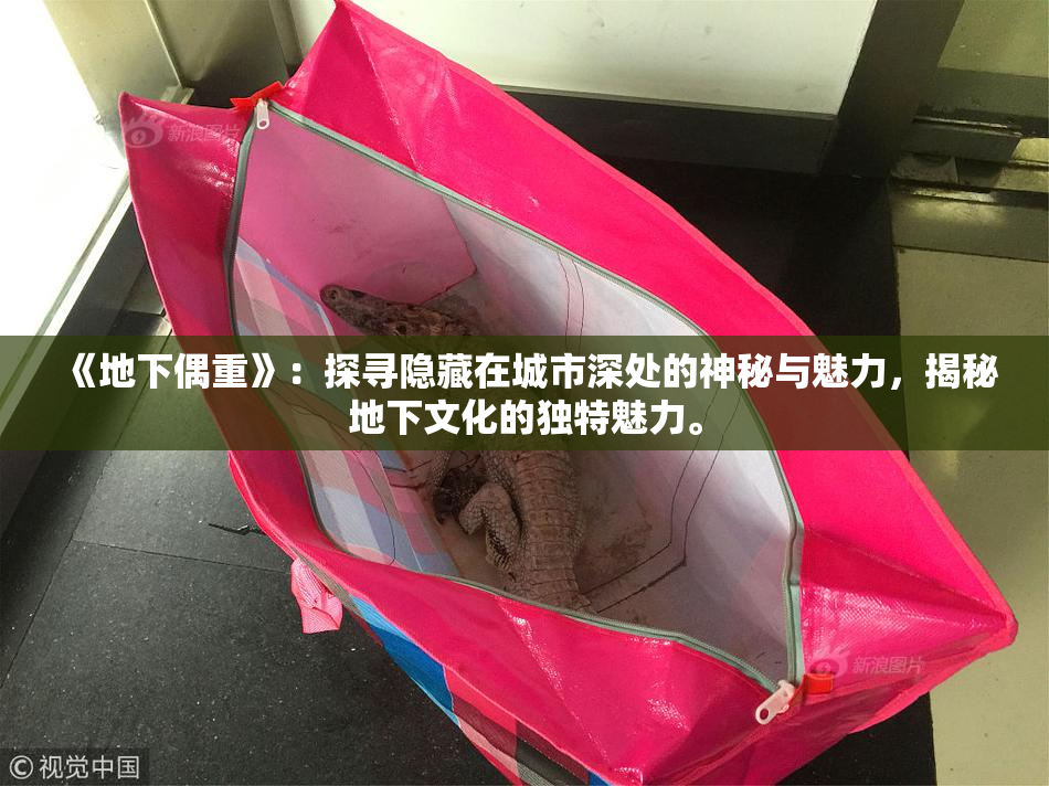 《地下偶重》：探寻隐藏在城市深处的神秘与魅力，揭秘地下文化的独特魅力。