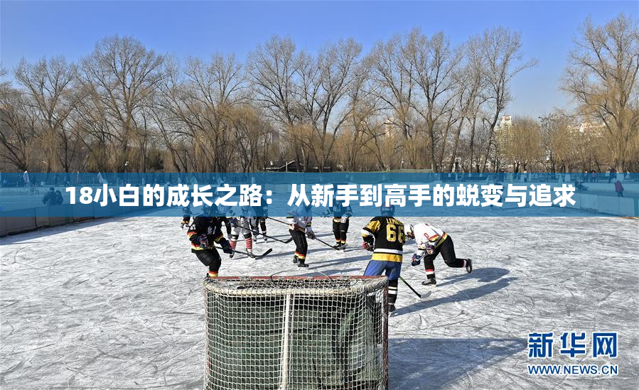 18小白的成长之路：从新手到高手的蜕变与追求