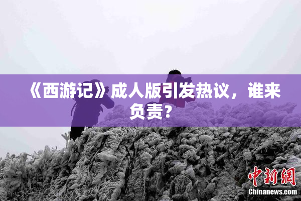 《西游记》成人版引发热议，谁来负责？