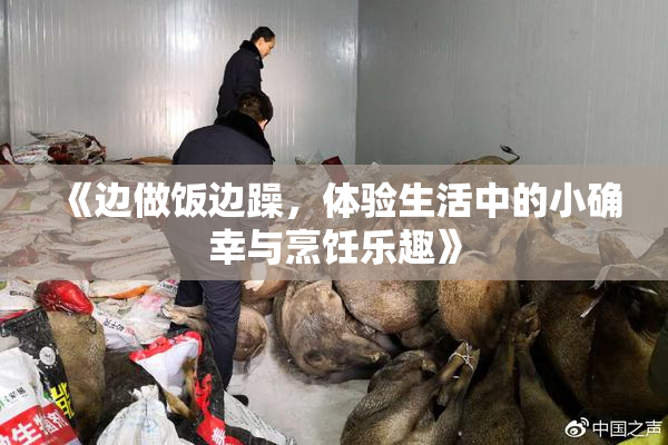 《边做饭边躁，体验生活中的小确幸与烹饪乐趣》