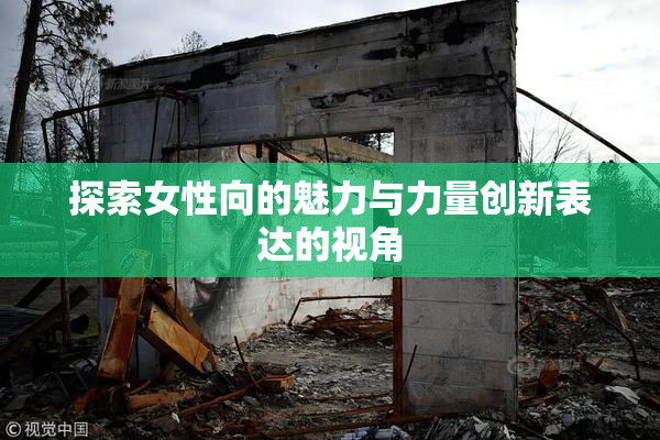 探索女性向的魅力与力量创新表达的视角