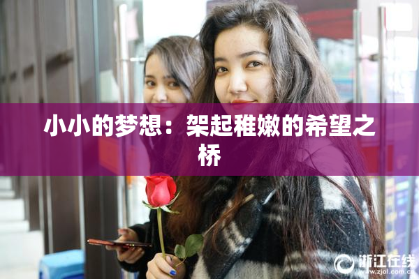 小小的梦想：架起稚嫩的希望之桥