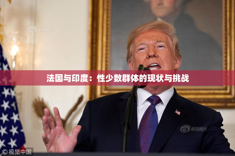 法国与印度：性少数群体的现状与挑战