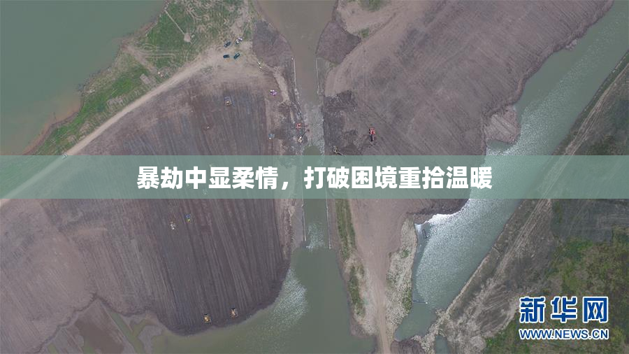 暴劫中显柔情，打破困境重拾温暖