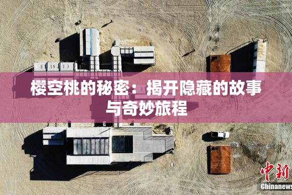 樱空桃的秘密：揭开隐藏的故事与奇妙旅程