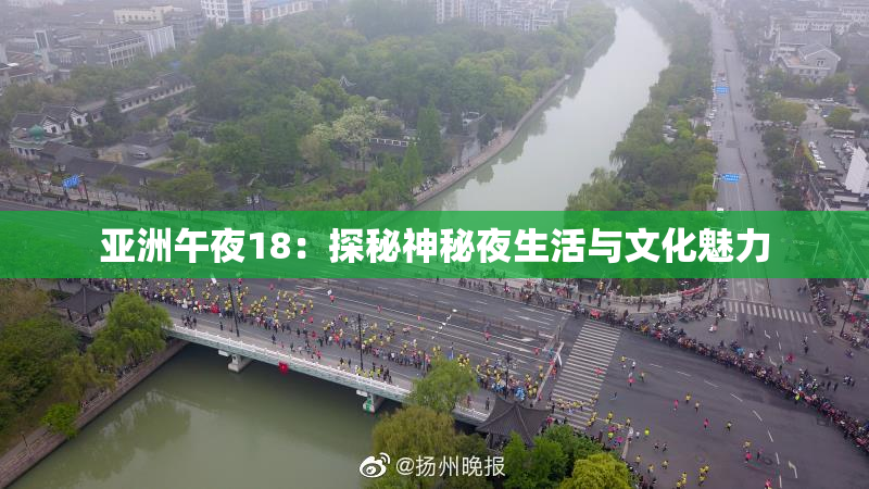亚洲午夜18：探秘神秘夜生活与文化魅力