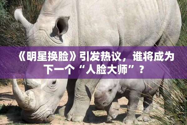 《明星换脸》引发热议，谁将成为下一个“人脸大师”？