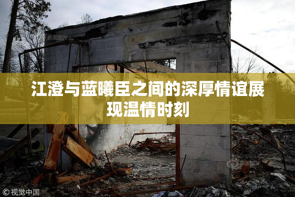 江澄与蓝曦臣之间的深厚情谊展现温情时刻