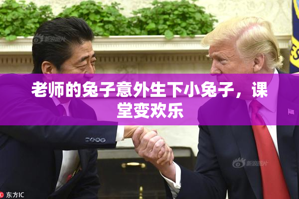 老师的兔子意外生下小兔子，课堂变欢乐