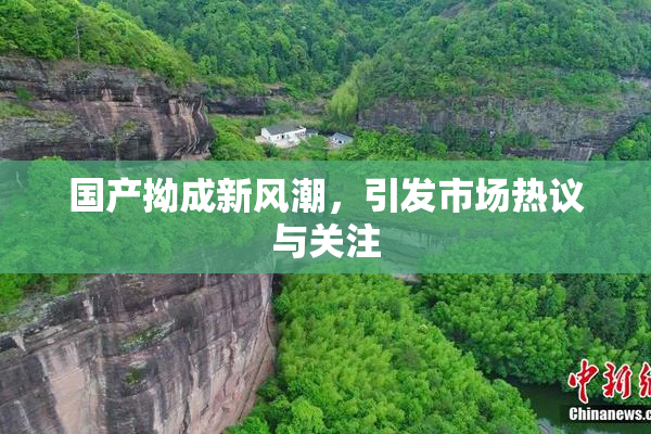 国产拗成新风潮，引发市场热议与关注