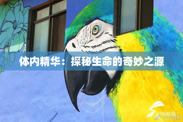 体内精华：探秘生命的奇妙之源