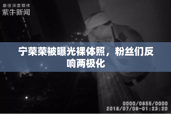 宁荣荣被曝光裸体照，粉丝们反响两极化