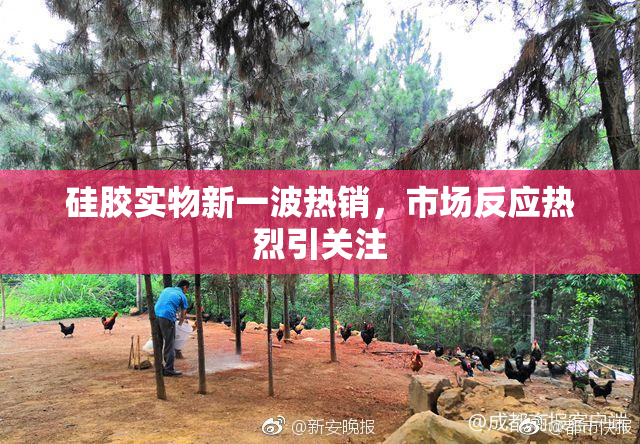 硅胶实物新一波热销，市场反应热烈引关注