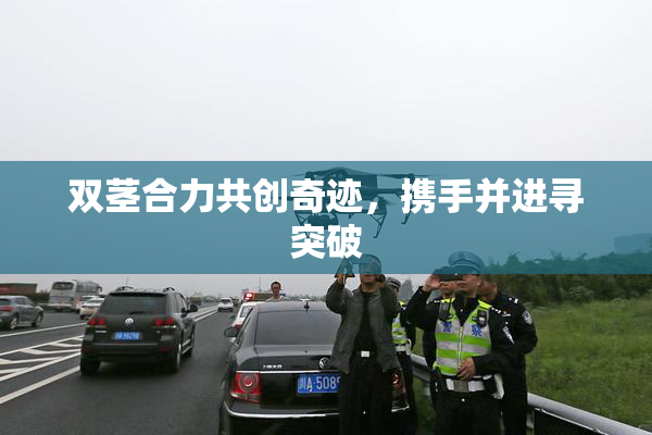 双茎合力共创奇迹，携手并进寻突破