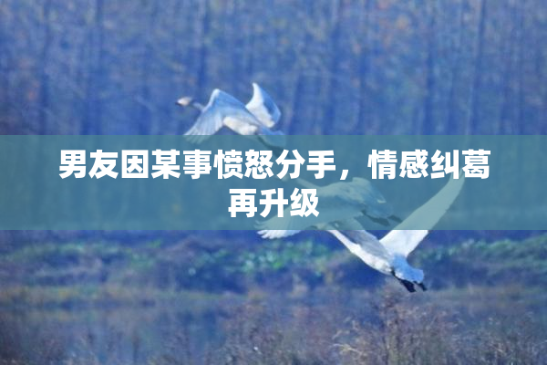 男友因某事愤怒分手，情感纠葛再升级