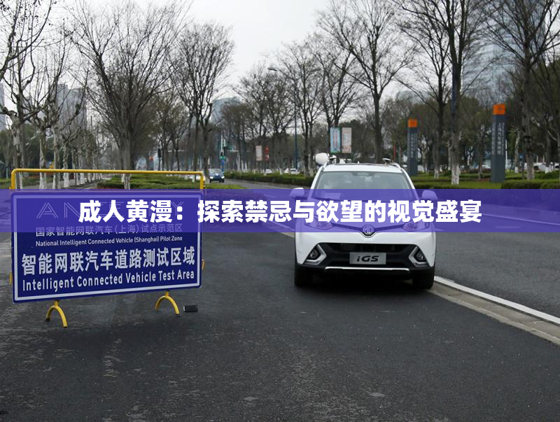 成人黄漫：探索禁忌与欲望的视觉盛宴