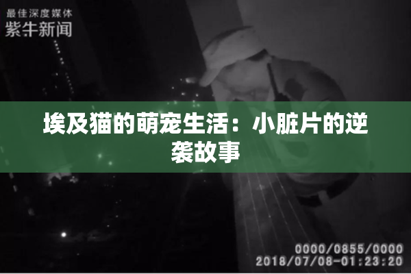 埃及猫的萌宠生活：小脏片的逆袭故事