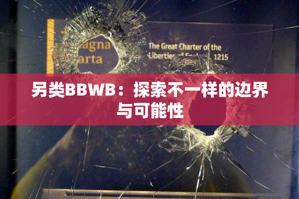 另类BBWB：探索不一样的边界与可能性