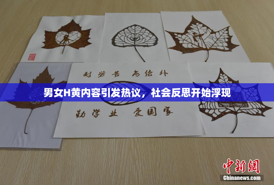 男女H黄内容引发热议，社会反思开始浮现