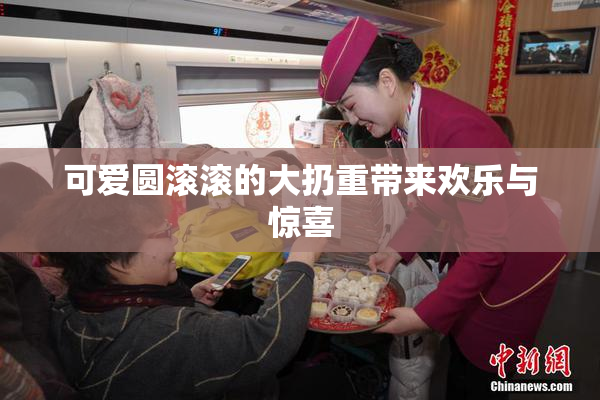 可爱圆滚滚的大扔重带来欢乐与惊喜