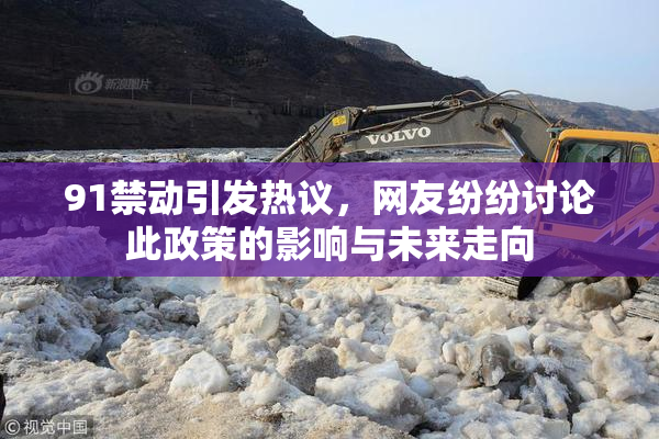 91禁动引发热议，网友纷纷讨论此政策的影响与未来走向