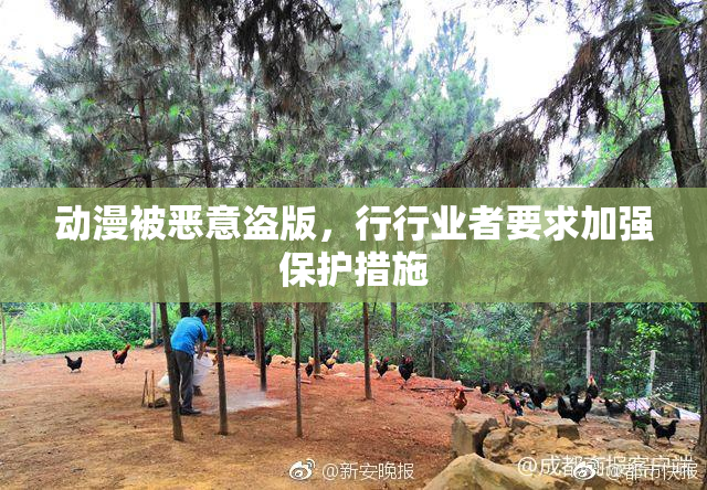动漫被恶意盗版，行行业者要求加强保护措施