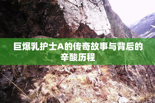 巨爆乳护士A的传奇故事与背后的辛酸历程