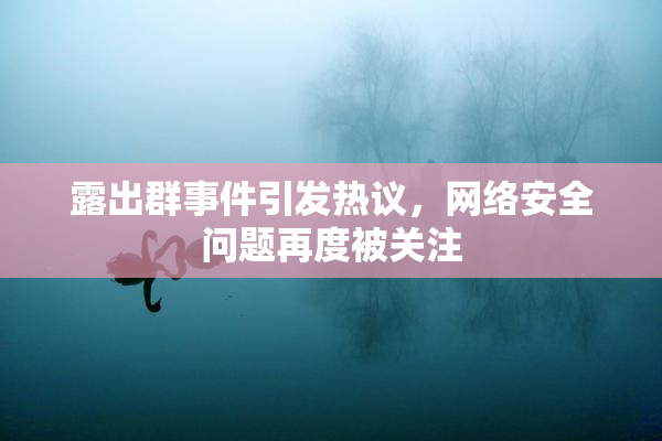 露出群事件引发热议，网络安全问题再度被关注