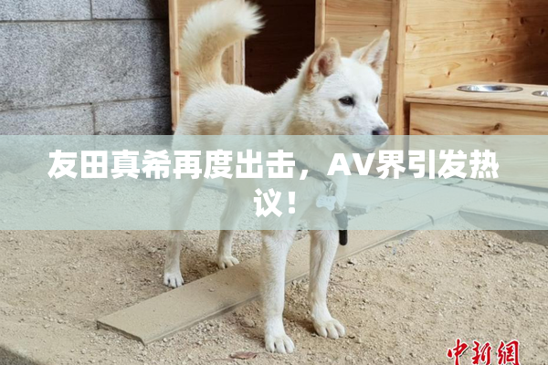 友田真希再度出击，AV界引发热议！