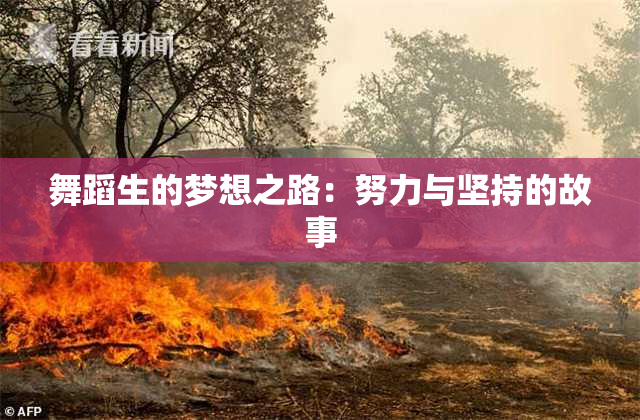 舞蹈生的梦想之路：努力与坚持的故事