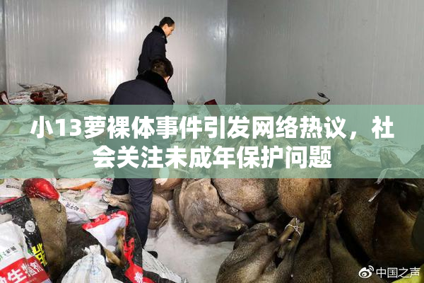 小13萝裸体事件引发网络热议，社会关注未成年保护问题