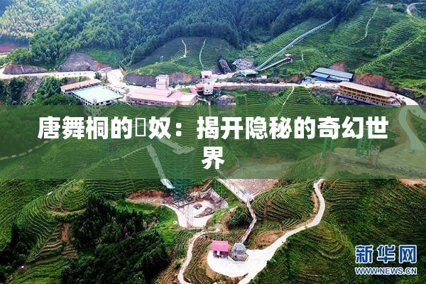 唐舞桐的婬奴：揭开隐秘的奇幻世界