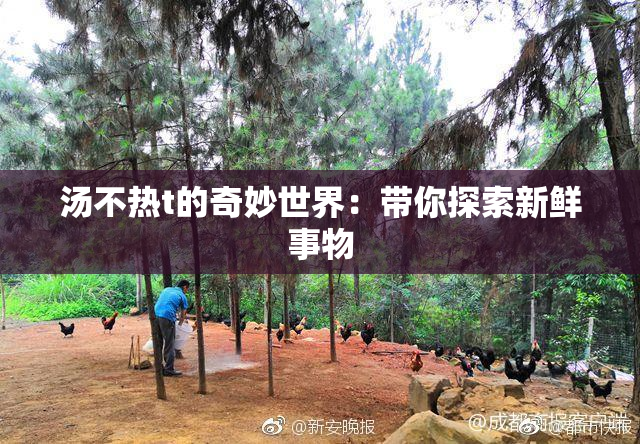 汤不热t的奇妙世界：带你探索新鲜事物
